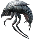 Choke Beetle