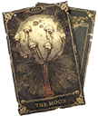 The Moon